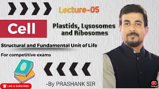 PLASTIDS LISOSOMES AND RIBOSOMES [upl. by Adyeren]