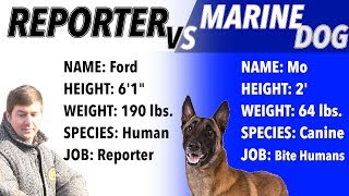 Reporter VS Marine Mauled By A Dog [upl. by Ahsiram]