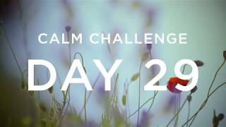 Calm Challenge  Day 29 [upl. by Htebarual]