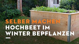 Selber machen Hochbeet im Winter bepflanzen [upl. by Jariah566]