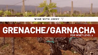 Grape Varieties GarnachaGrenache for WSET Level 2 [upl. by Nahtonoj815]