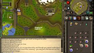 Runescape 2007  Generally Speaking His Nose was Very Bent [upl. by Ahsille]