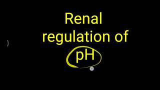 Renal regulation of pH [upl. by Balduin]