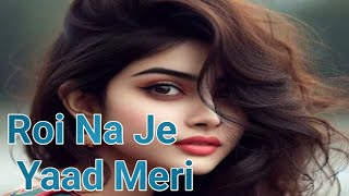 Roi Na Je Yaad Meri Aayi Ve l New Sad Songs Hindi 2024 l Hindi sad song  New sad song BD Blogs y [upl. by Ovid26]