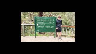 sailorsfalls daylesford waterfalls Sailors Falls Daylesford  Victoria Australia [upl. by Loni]