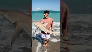 صيد القروش بالطعم الحي وحوش🔥 fishing fish صيد [upl. by Elfie]