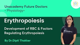 Erythropoiesis  Development of RBC amp Factors Regulating  Unacademy Future Doctors  DrDipti [upl. by Enahs]