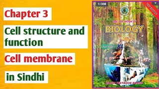 Cell membrane class 11 biology Sindh board  sandwichmodel and fluidmosaicmodel [upl. by Irabaj229]