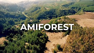 AMIFOREST  An Amicorp Community Foundation project [upl. by Jewel]