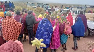 NGORONGORO KUMEKUCHA SAMIA UKO WAPI UNYANYAZAJI UMEZIDI KWA WANANCHI WA NGORONGORO [upl. by Uhile686]