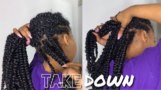 Passion Twist Takedown  Tips On Maintenance  How To Remove Passion Twist  Kinzey Rae [upl. by Nimajeb]