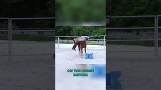 First time mounting a young horse younghorse coltstarting horsetraining horseriding [upl. by Moureaux]