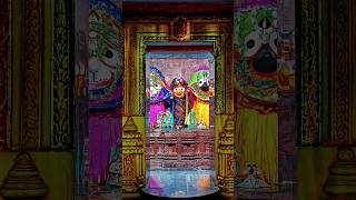 New Odia Jagannath Bhajan Status Video 🙏  Jagannath Odia Status Video shortvideo bhajan [upl. by Ayo]