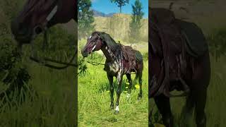 Arabian Horses  Rdr2  Red Dead Redemption 2  5 Arabian Horses  Horse Riding  Horses  Fun [upl. by Male]