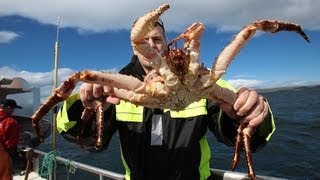 King crabbing in Northern Norway  Königskrabbenfang im Norden Norwegens [upl. by Richy]