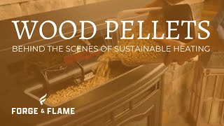 The sustainability of wood pellets [upl. by Zandra]