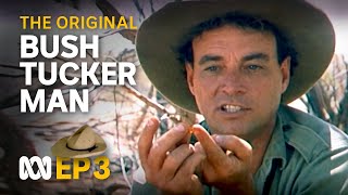 Finding food water in the Tanami Desert 🤠🗺️  Bush Tucker Man  S1 EP3  ABC Australia [upl. by Llerihs416]