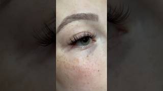 Lash and Brow Refresh  milliealerta [upl. by Nefets572]