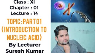 Nucleic acid class 11nucleic acid biochemistrySTB NCERT PTB FTBHindiUrdu By SirSuresh Kumar [upl. by Egiaf13]