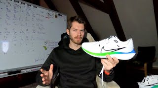 SAME OLD PROBLEMS Nike Pegasus 40 Review First Impressions [upl. by Courtenay373]