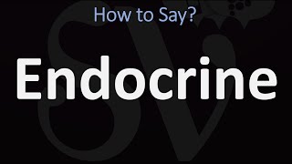 How to Pronounce Endocrine CORRECTLY [upl. by Maccarone]