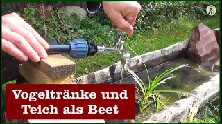 Vogeltränke und Teich als Beet [upl. by Constantino]