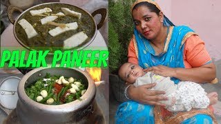 Palak Paneer Recipe  How to make Palak Paneer  Punjabi [upl. by Adna]