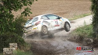 Crashes amp Many Mistakes  Rally Cervera  Memorial Abel Puig 2022  ADRacing [upl. by Holland852]