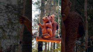 Hanging up high in the sky The Squirrel Lives at Capilano Suspension bridge [upl. by Einnahpets]