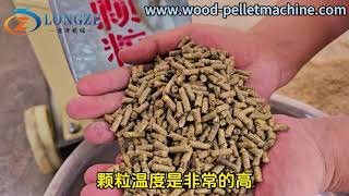 Detailed explanation of the test steps of feed pellet machine from raw materials to finished pellets [upl. by Olsen]