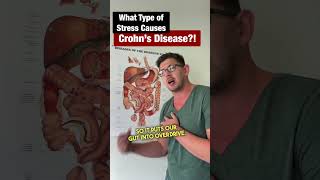 What Type of Stress Causes Crohns disease [upl. by Atinad]