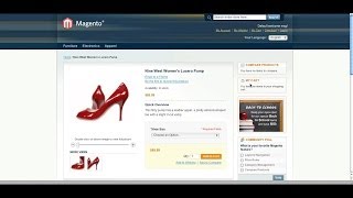 How to Install Magento Sample Data [upl. by Honan]