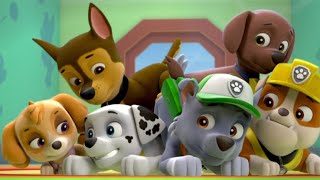 Paw Patrol new series  Щенячий патруль новые серии [upl. by Haiasi85]