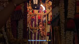 Om namo VenkateshayattdGovinda GovindatirumalatempleAkhilanda koti brahmanda nayakaviralshorts [upl. by Ahsein]