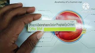 ofloxacin amp Betamethaso e sodium phosphate eye ointment Uses Hindi  oflo bm ointment [upl. by Hester498]