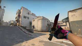 Ursus Knife  Fade  New CSGO Horizon Case Showcase [upl. by Unders]