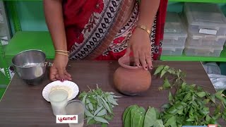 Learn about creating a Natural Pesticide for your Terrace Garden  Poovali  News7 Tamil [upl. by Neufer503]