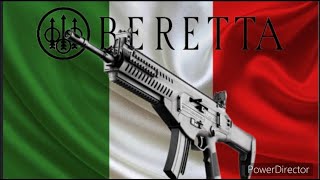 Beretta ARX160 EL RIFLE INSIGNIA ITALIANO [upl. by Cassiani278]