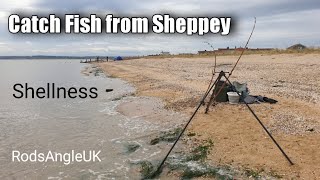 Catch Fish from Sheppey SHELLNESS [upl. by Maureen]