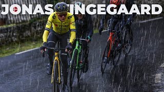 BEST OF CYCLING  JONAS VINGEGAARD 2024 [upl. by Piers]