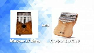 Which is Better Hollow or Flat Kalimba [upl. by Namyaw]