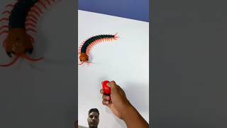 Tipmant Realistic Large Size RC Centipede Scolopendra viral toys trending shortsvideo [upl. by Nanreh]