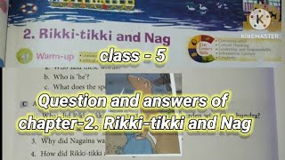 Question and answers of chapter 2 Rikki tikki and Nag of class  5New English Ferry book [upl. by Ingrid]