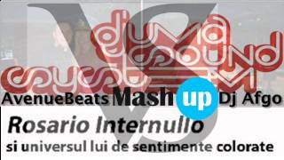 Djuma Soundsystem Vs Dj Internullo Les Djins in Big Town AvenueBeats Vs Dj Afgo Mashup [upl. by Naillig]