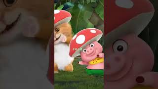 Lagu dudidu didam dam dudidudi dam versi kucing dan babi lucu 😍😍 viralvideo cat shorts fyp [upl. by Ahsenaj]