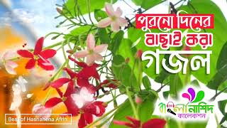 হাসনাহেনার ৮টি পুরনো দিনের বাছাই করা গজল  Best Of Hasnahena Afrin [upl. by Ruzich79]