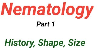 Nematologysize shape part 1 [upl. by Ahsekim]