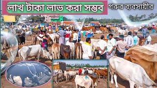 পশ্চিমবঙ্গে গরু ব্যবসা করে লাখ লাখ টাকা আয় করা সম্ভব 100 । Cow business in West Bengal  cow farm [upl. by Ellebanna413]