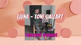 La tromba di falcesoft suona Liuna Toni Gallart falcesofttrumpet [upl. by Culver188]