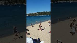 Local beach at Mosman Sydney [upl. by Zebe975]